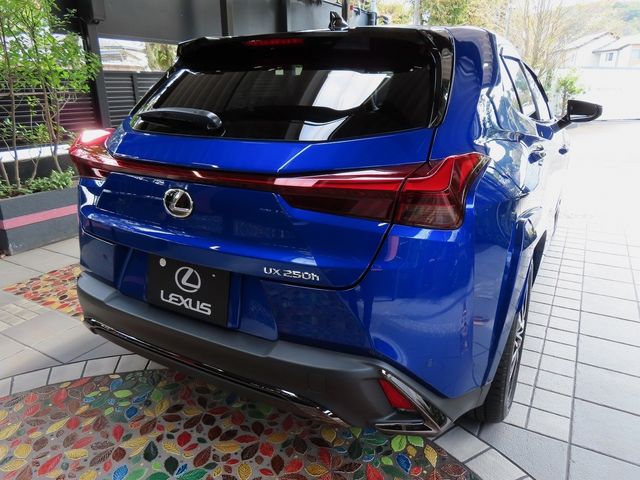 Lexus UX 2023-05 16879-4