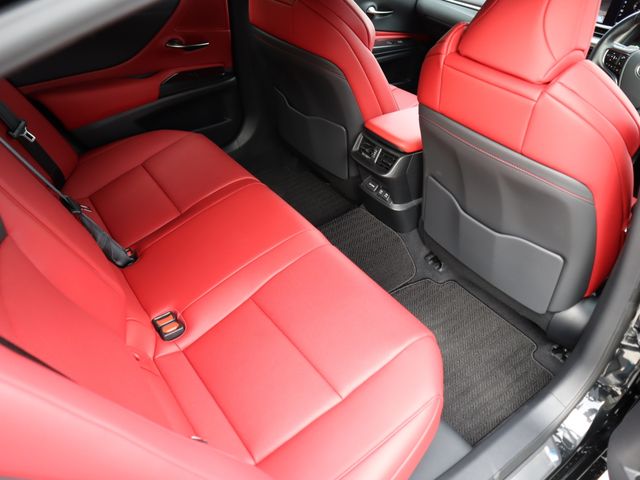 Lexus ES 2020-09 190339-10