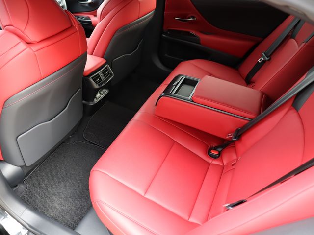 Lexus ES 2020-09 190339-11