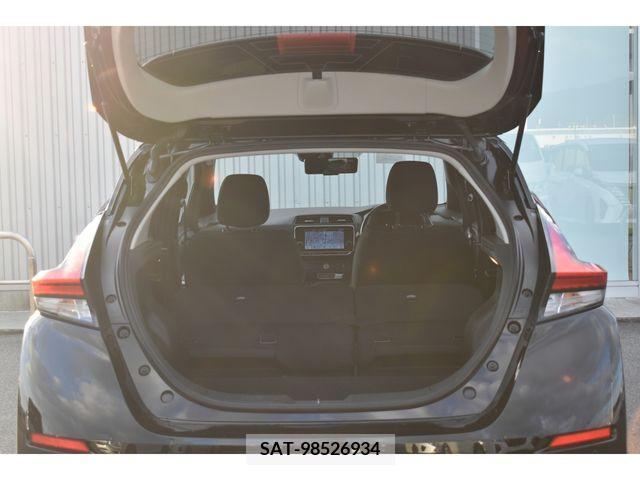 Nissan LEAF 2021-01 224504-18