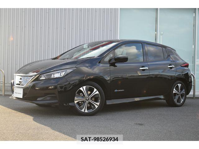 Nissan LEAF 2021-01 224504-0