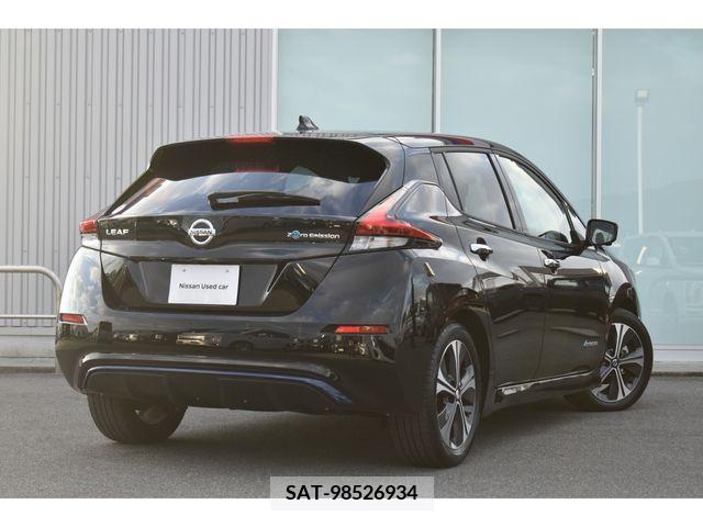 Nissan LEAF 2021-01 224504-1