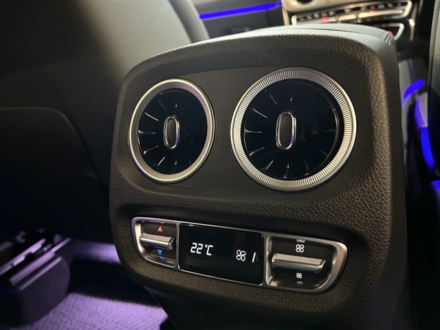 Mercedes Benz G-CLASS 2022-07 1713-8