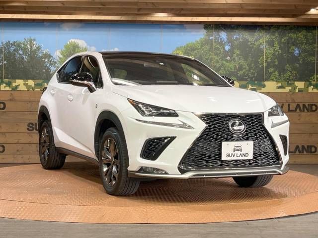 Lexus NX 2018-10 16806-13