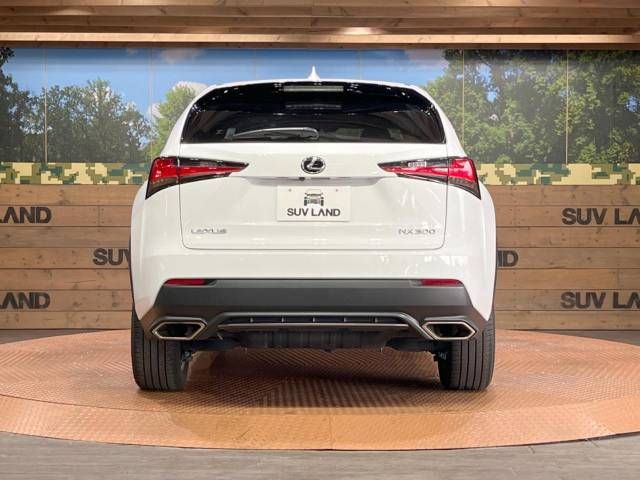 Lexus NX 2018-10 16806-12