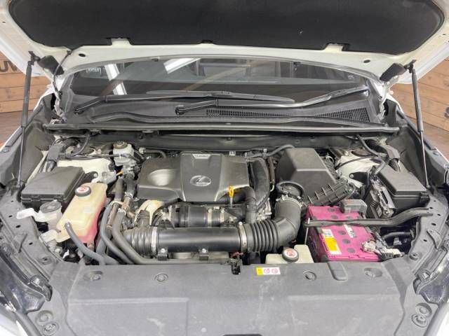 Lexus NX 2018-10 16806-15