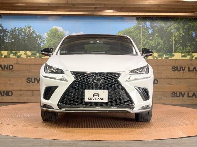 Lexus NX 2018-10 16806-11