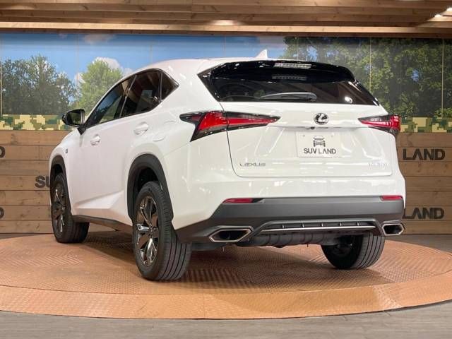 Lexus NX 2018-10 16806-14