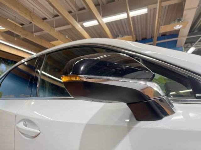 Lexus NX 2018-10 16806-17