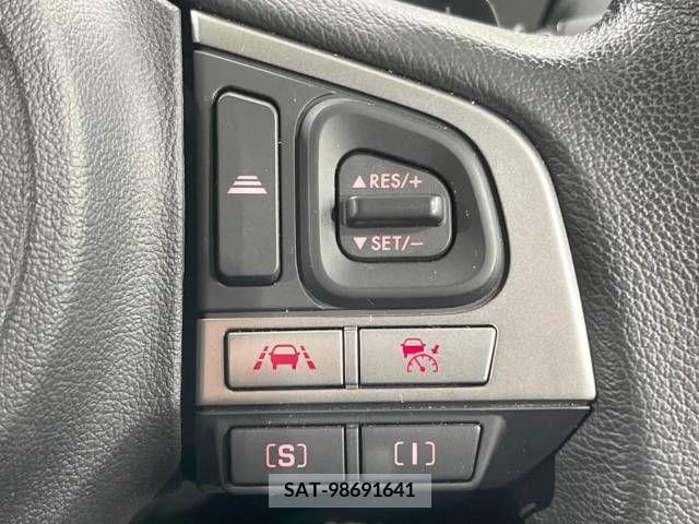 Subaru FORESTER 2017-06 234257-4