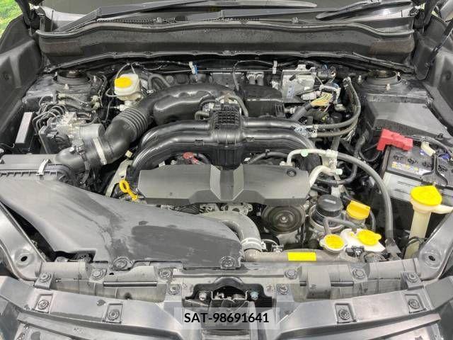Subaru FORESTER 2017-06 234257-18