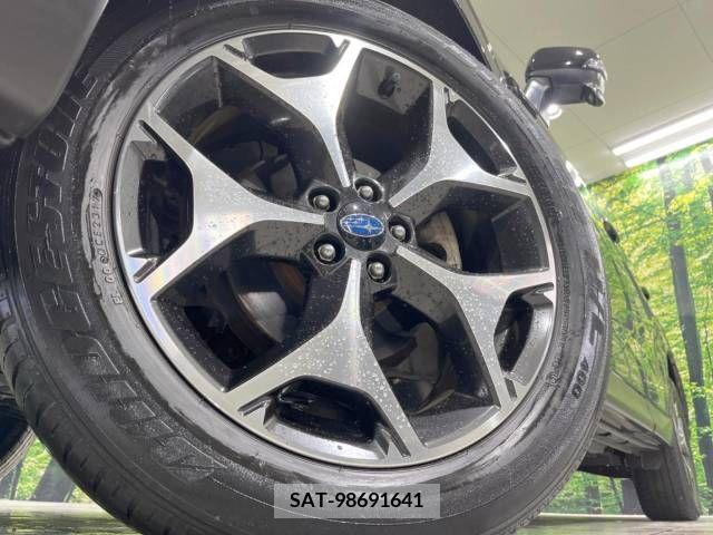 Subaru FORESTER 2017-06 234257-13