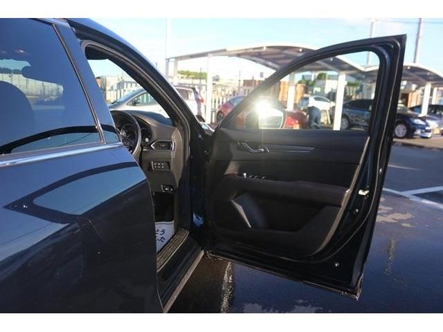 Mazda CX-8 2018-10 17487-9