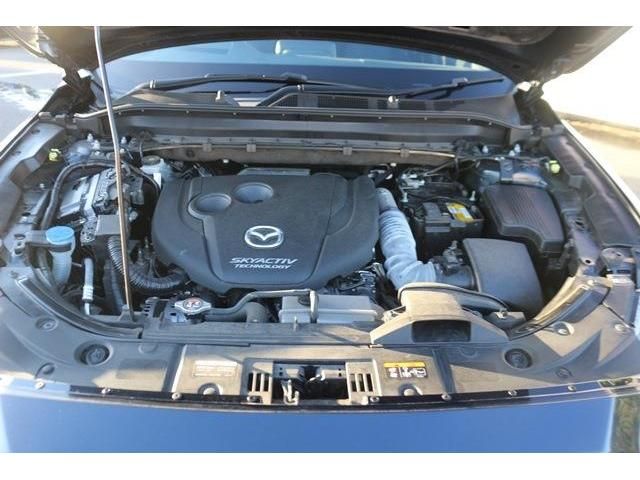 Mazda CX-8 2018-10 17487-18