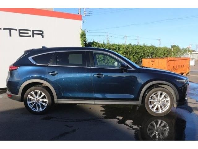 Mazda CX-8 2018-10 17487-2