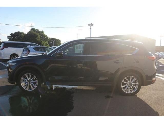 Mazda CX-8 2018-10 17487-4