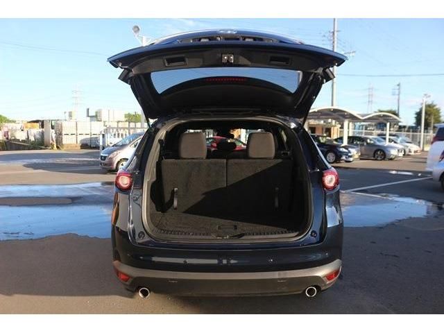 Mazda CX-8 2018-10 17487-10