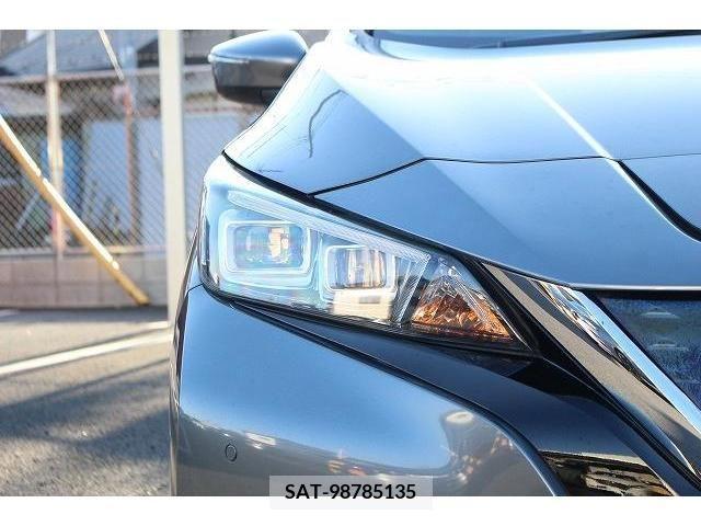 Nissan LEAF 2017-11 217307-8