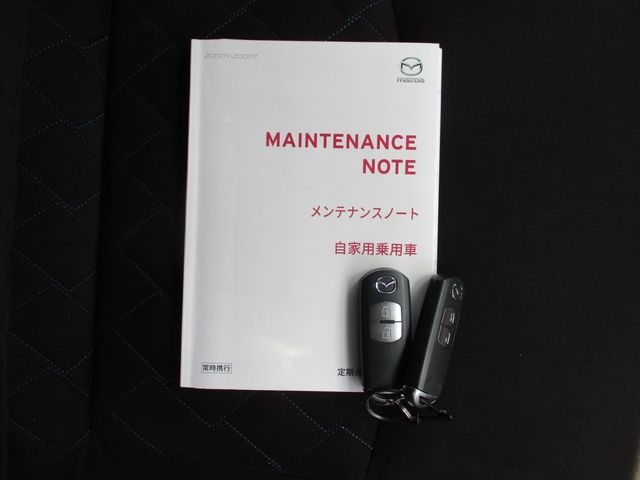 Mazda DEMIO 2019-02 7149-24