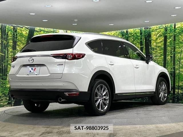 Mazda CX-8 2018-07 224273-17