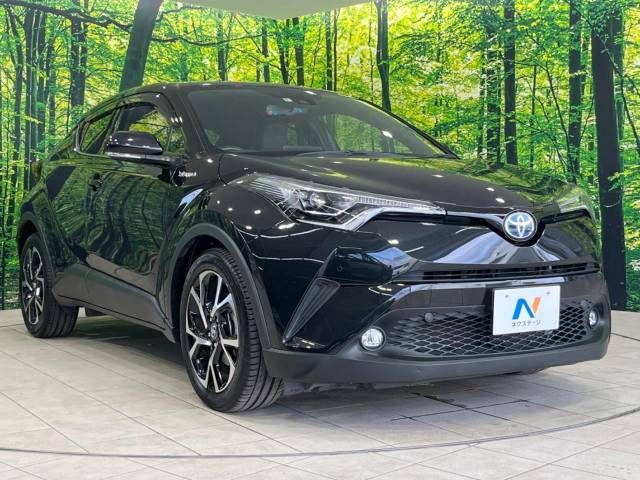 Toyota C-HR 2018-09 196529-16