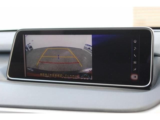Lexus RX 2016-11 6193-2