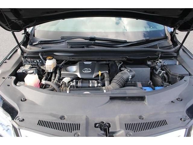 Lexus RX 2016-11 6193-18