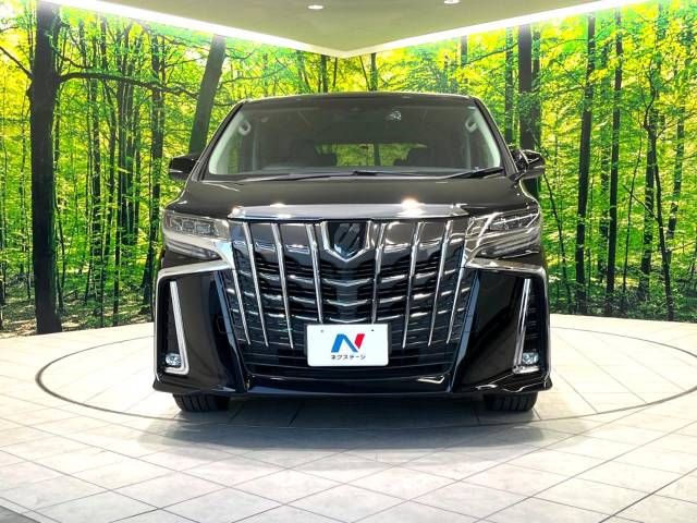 Toyota ALPHARD 2020-12 195107-15