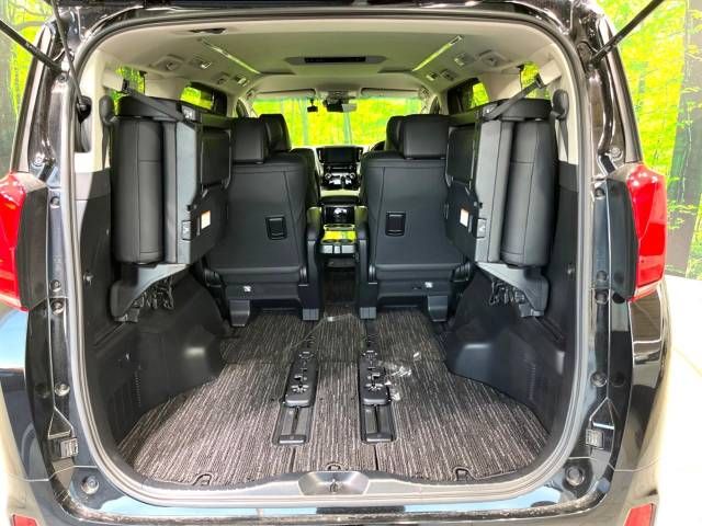 Toyota ALPHARD 2020-12 195107-11