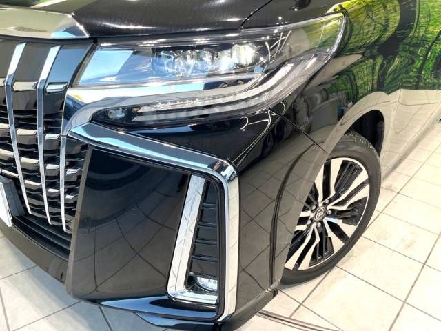 Toyota ALPHARD 2020-12 195107-13