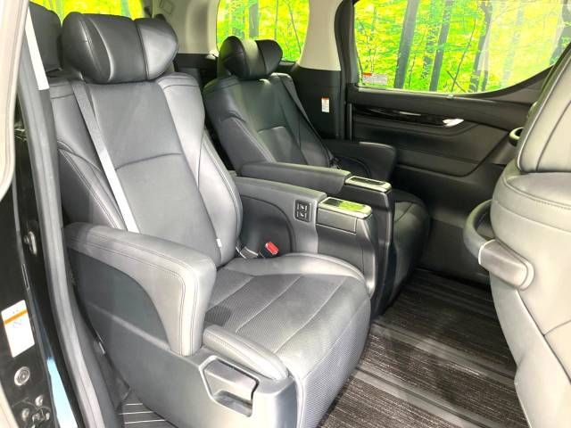 Toyota ALPHARD 2020-12 195107-9