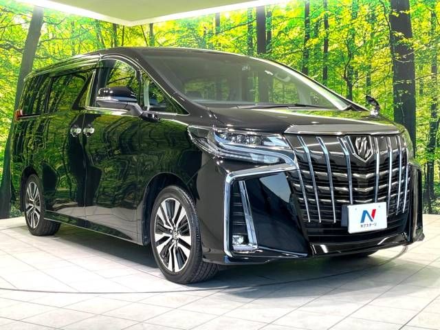 Toyota ALPHARD 2020-12 195107-17
