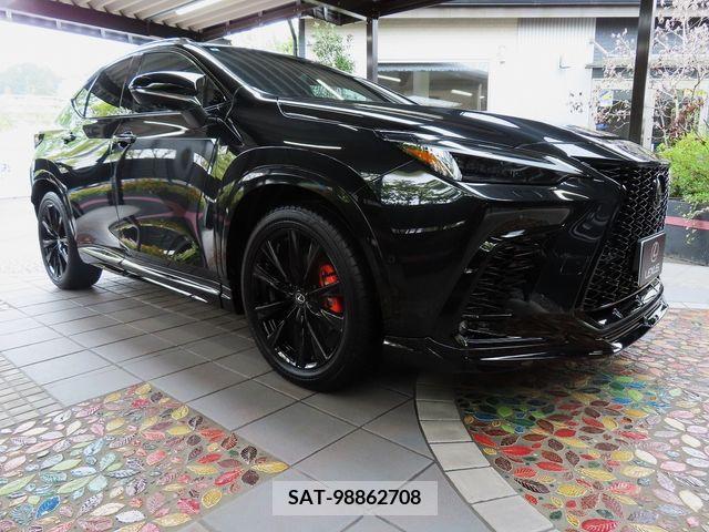Lexus NX 2023-07 275756-10