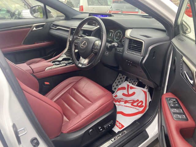 Lexus RX 2017-04 18878-1