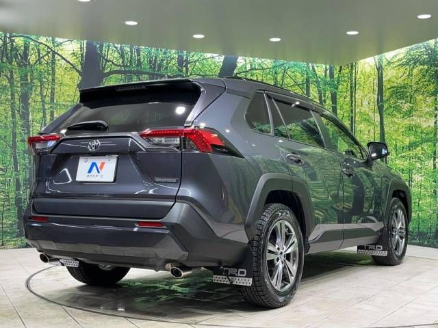 Toyota RAV4 2020-10 191970-17
