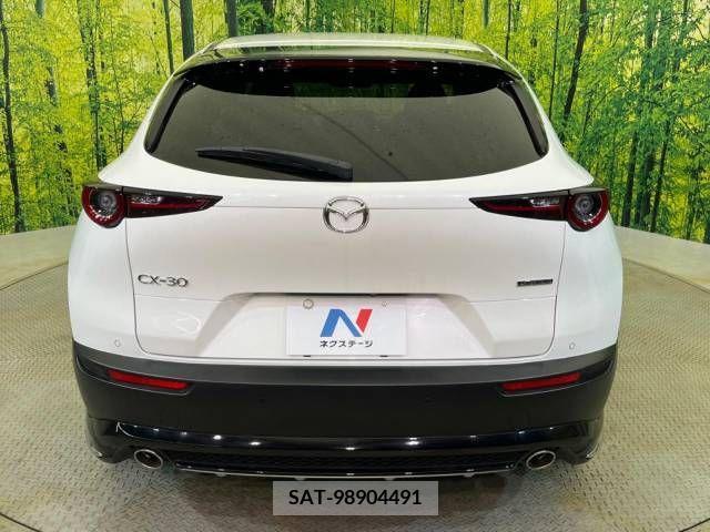 Mazda CX-30 2019-10 358491-15