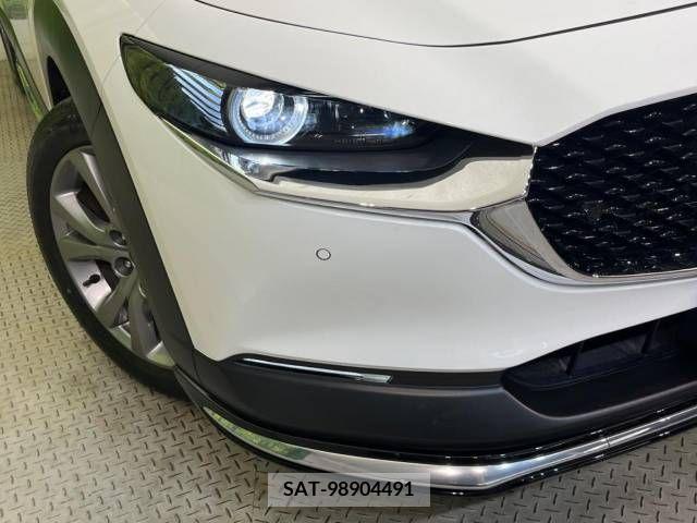 Mazda CX-30 2019-10 358491-12