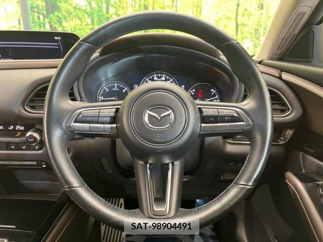 Mazda CX-30 2019-10 358491-11