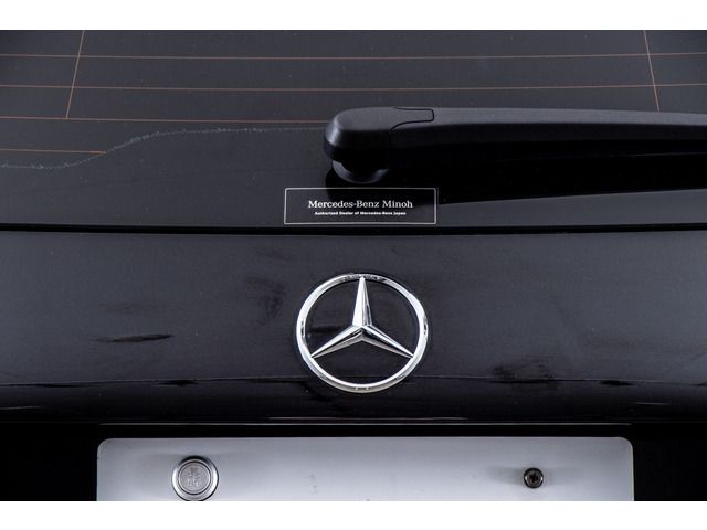 Mercedes Benz A-CLASS 2019-01 19380-11