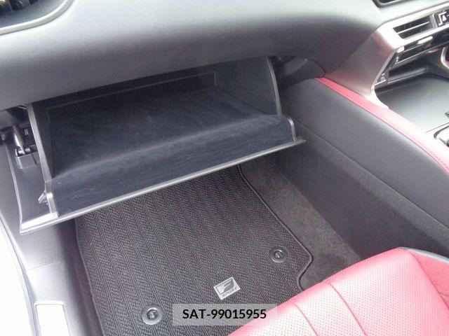 Lexus RX 2023-08 388399-18