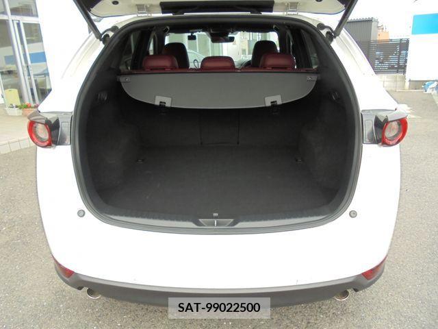 Mazda CX-5 2020-10 265856-16