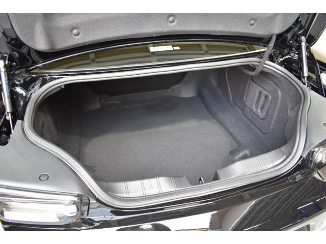 Chevrolet CAMARO 2021-05 22924-5