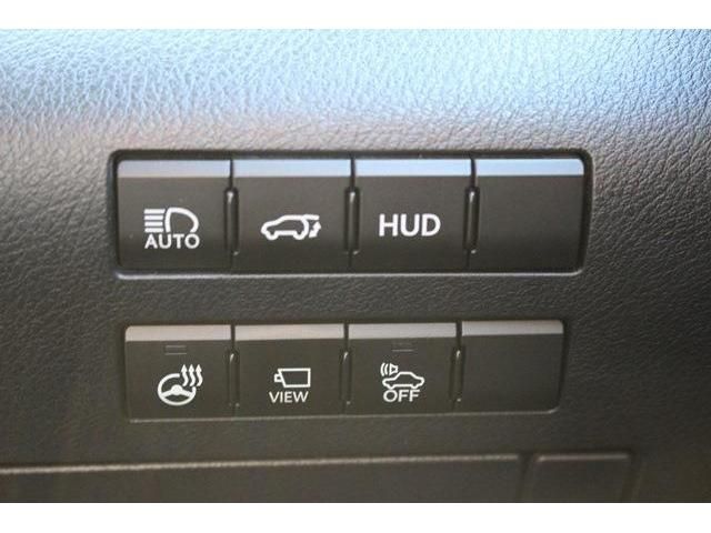 Lexus RX 2016-02 6783-5