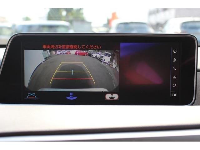 Lexus RX 2016-02 6783-2