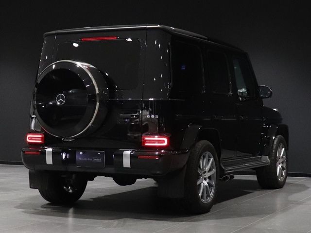 Amg G-CLASS 2021-03 16478-9