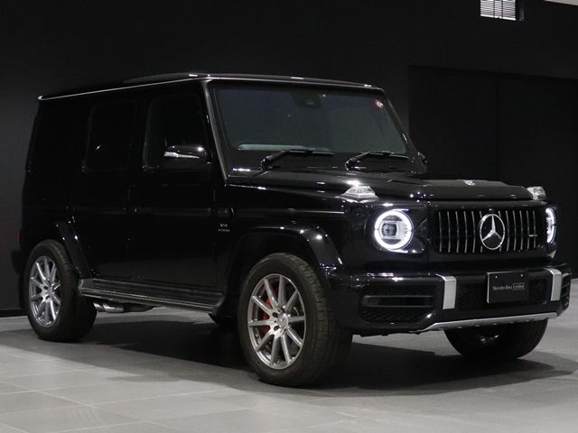 Amg G-CLASS 2021-03 16478-6