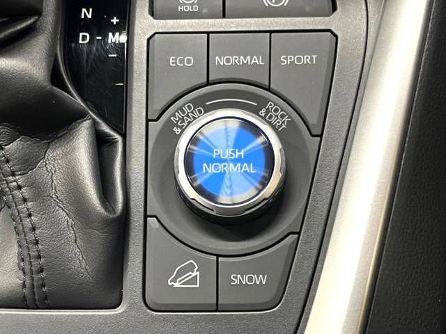 Toyota RAV4 2019-12 194823-7