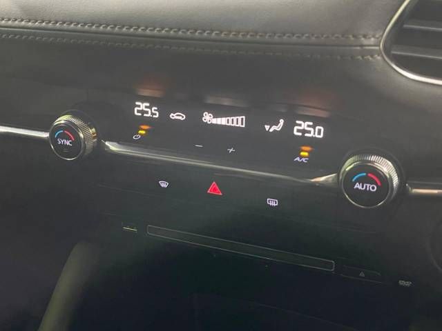 Mazda MAZDA3 2019-08 181079-6