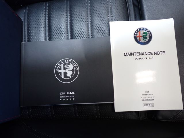ALFA ROMEO Giulia 2018-11 189806-27