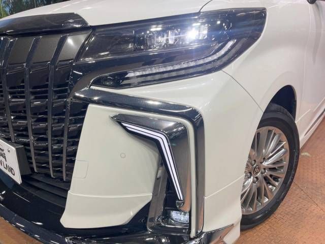 Toyota ALPHARD HYBRID 2022-10 190845-13